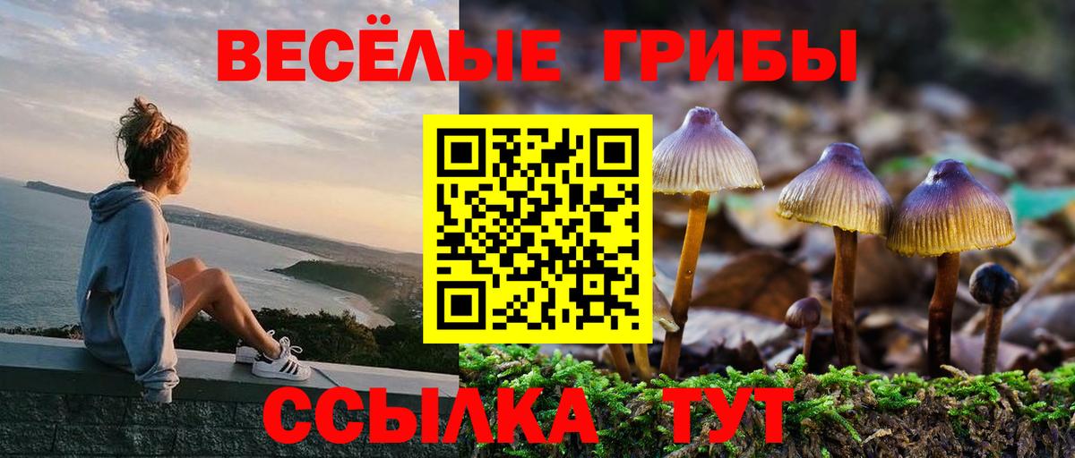Галлюциногенные грибы мицелий  Вход с VPN  Сланцы  Псилоцибиновые грибы Magic Shrooms 